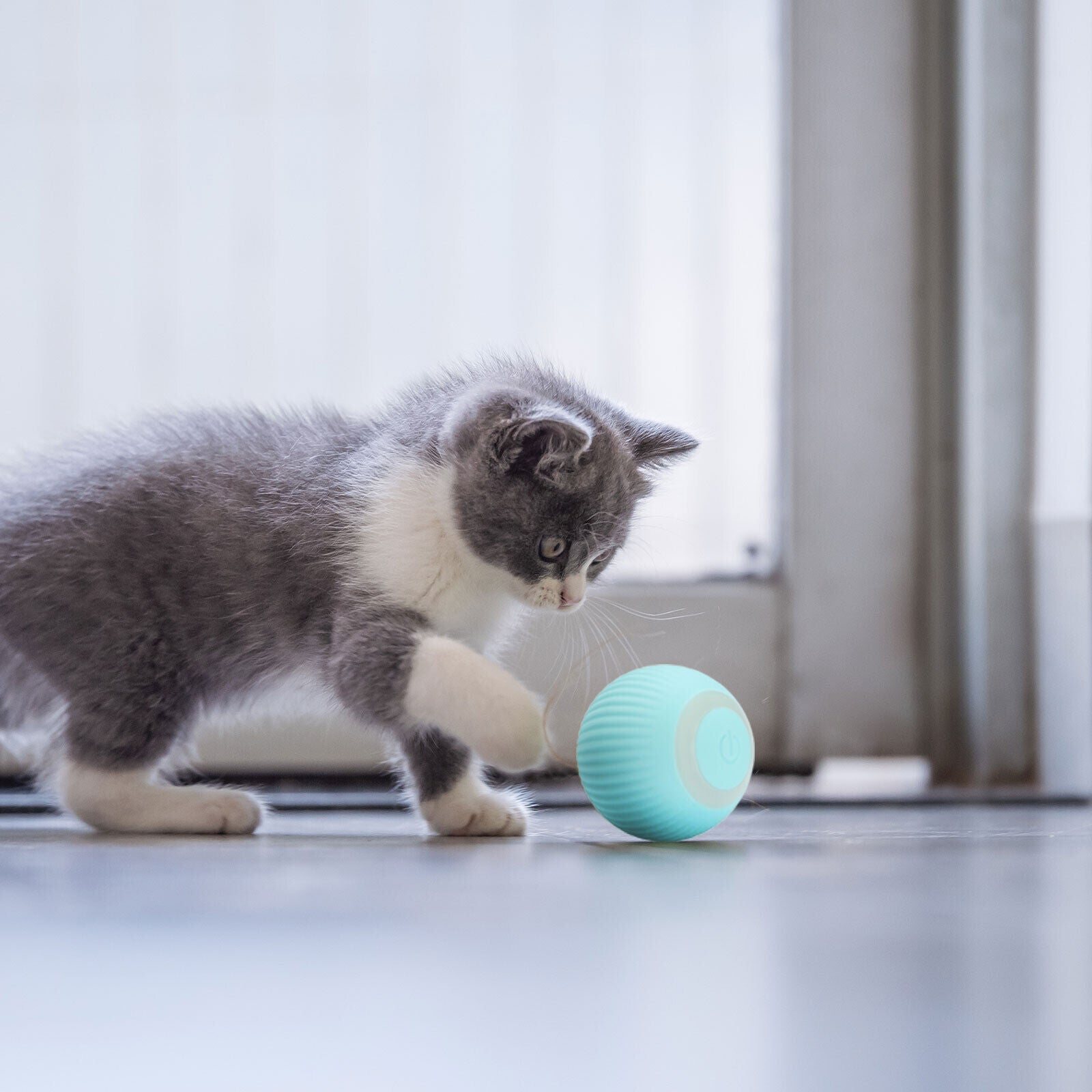 Pelota Inteligente Para Mascotas™